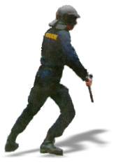 Policejn nsil